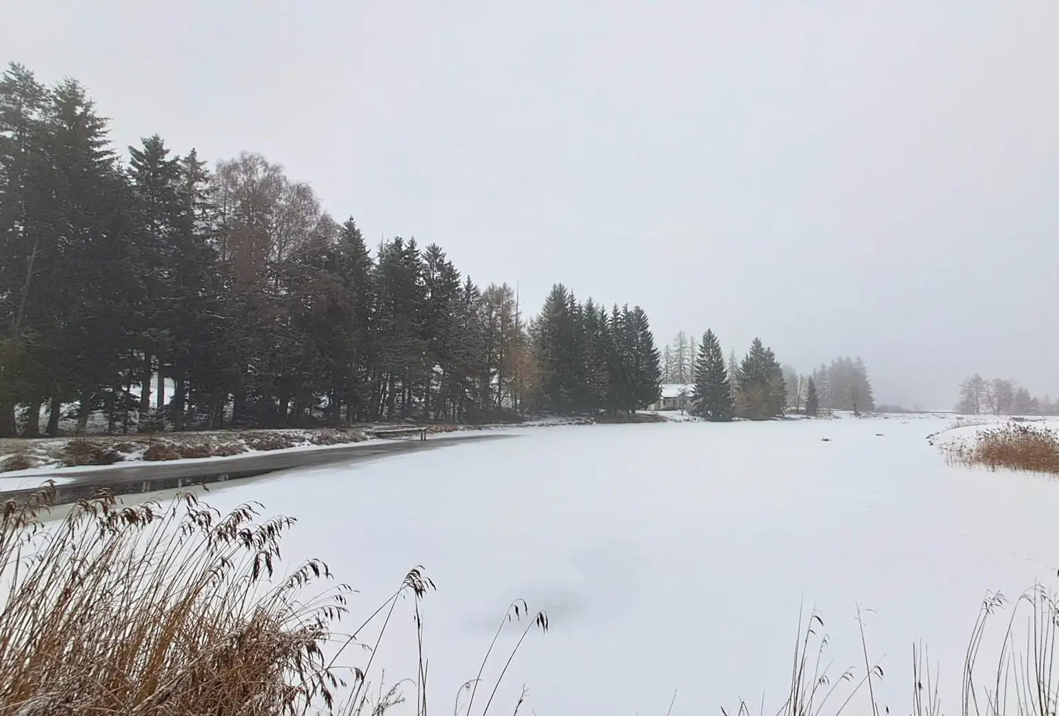 Ansicht Grundstück am See entlang