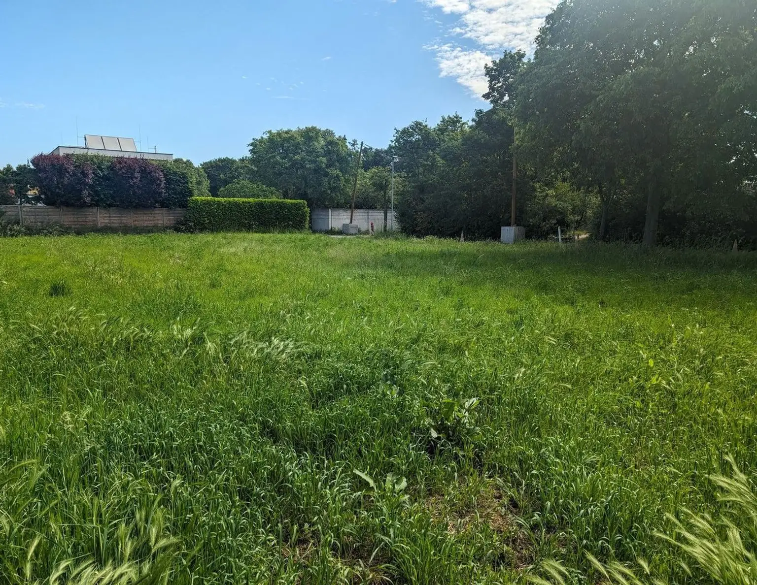 Traumhaftes Grundstück in Gerasdorfer-Bestlage