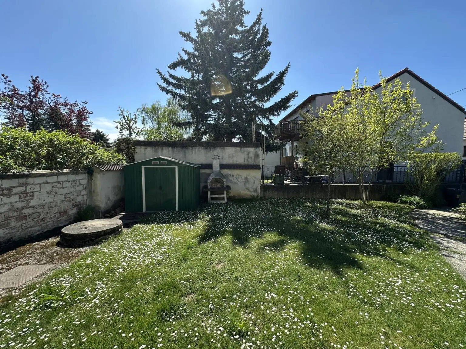 6 Blick vom Haus in den Garten
