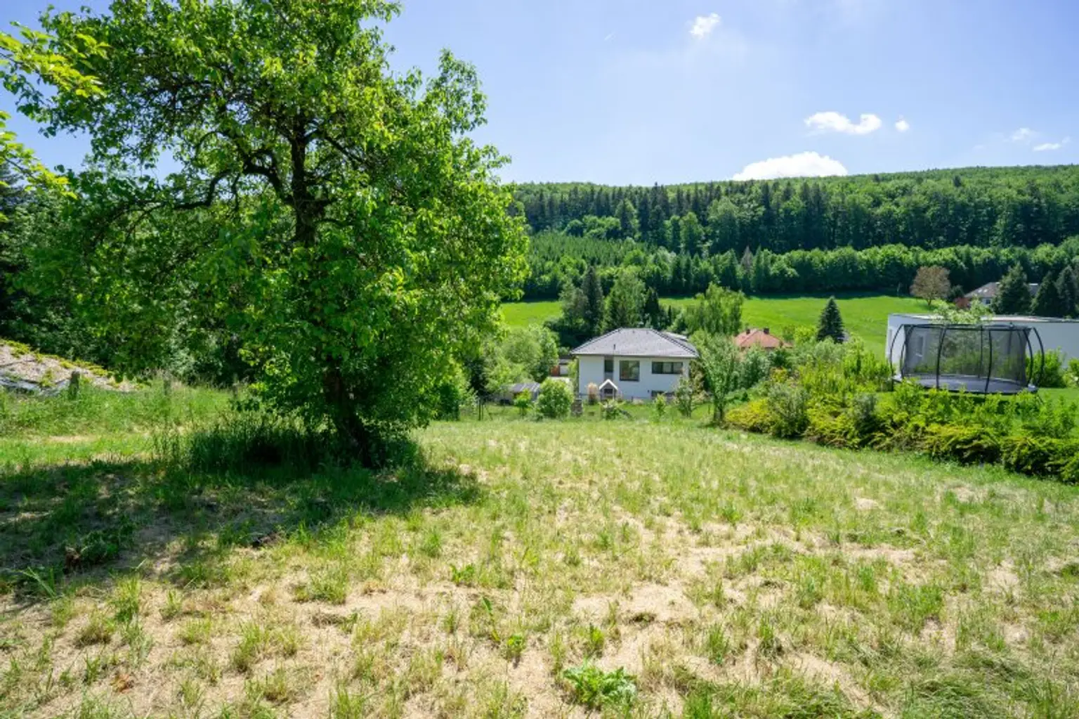 Blick ca. von der Mitte des Grundstücks nach Südosten