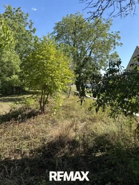 Obstgarten