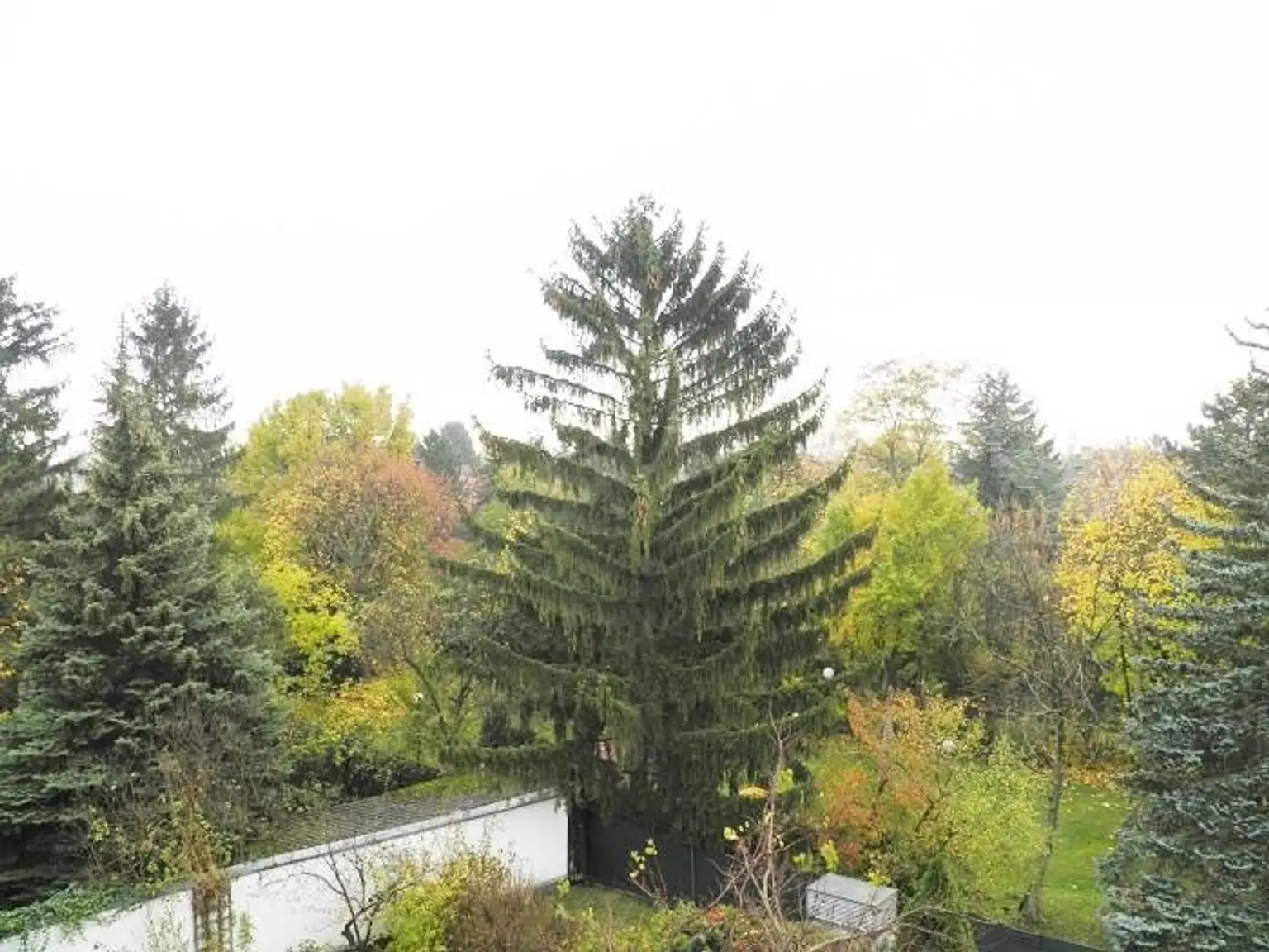 "Inkl. Garagenstellplatz! Schöne Mietwohnung in Mödling!"