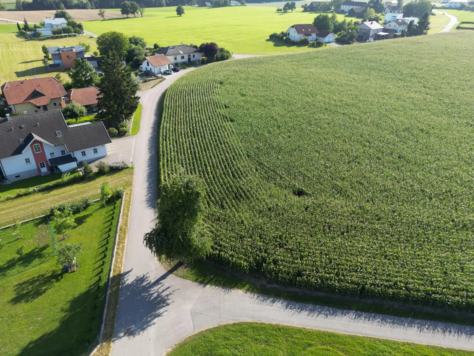 Neu vermessene Grundstücke in Breitenried
