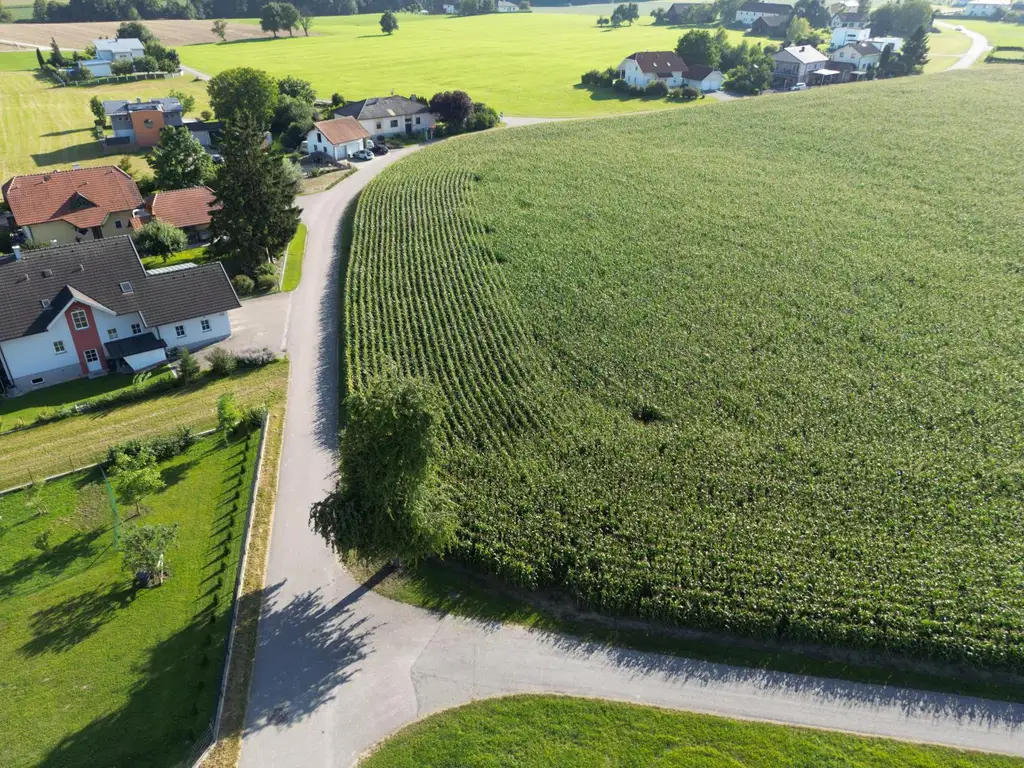 Neu vermessene Grundstücke in Breitenried