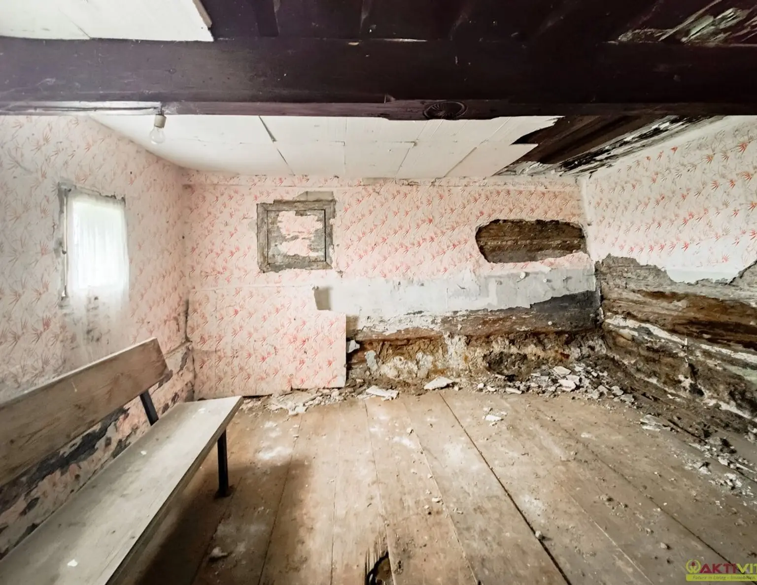 Großes Freiland-Grundstück mit Altbestand in Hochebenenlage bei Kammersberg.