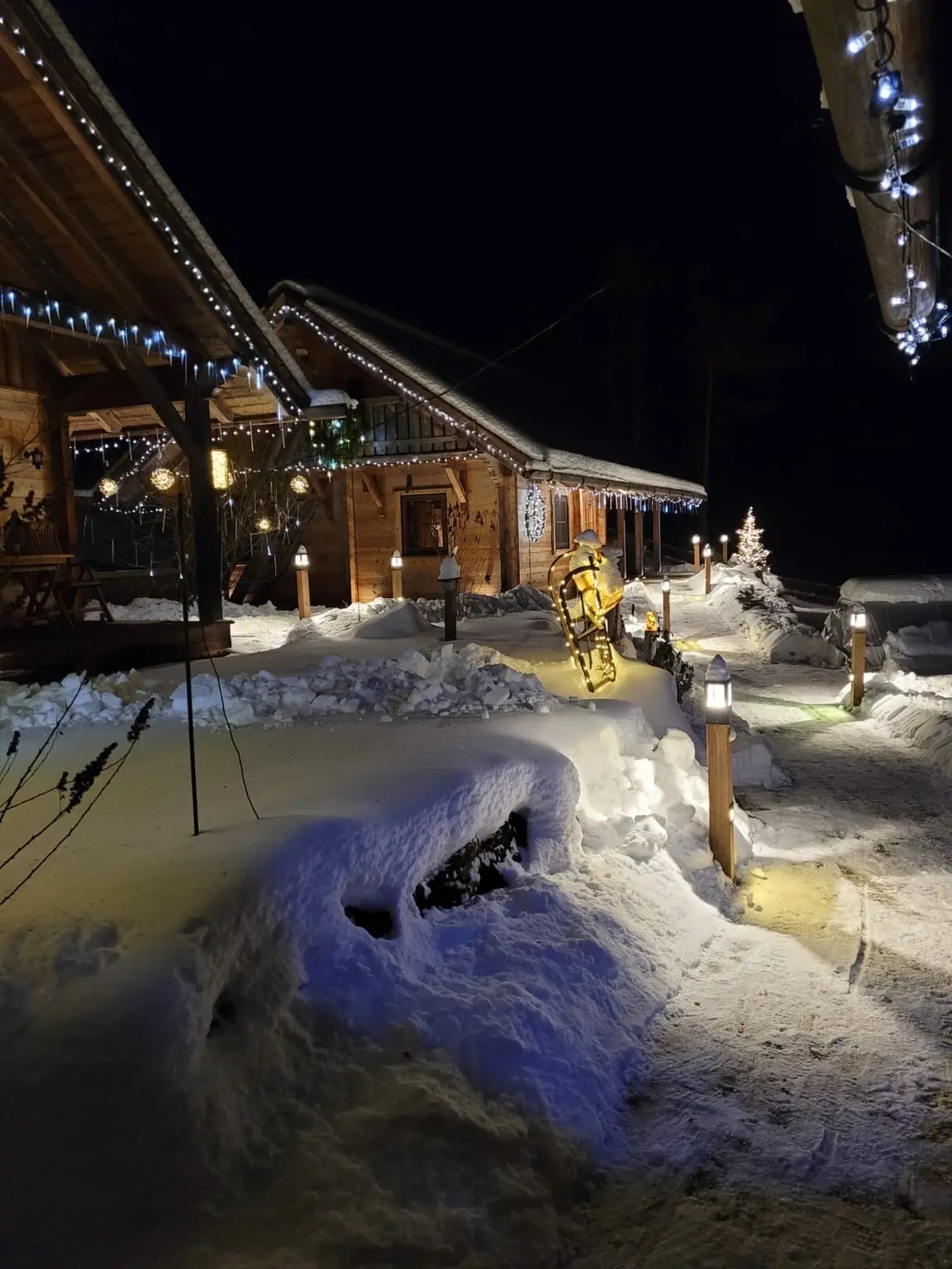 9573c62c-e106-4168-b242-9d2c1af3b271