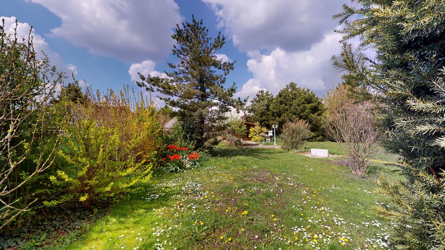 Einfamilienhaus mit großem Garten und Badezugang bei Groß-Enzersdorf