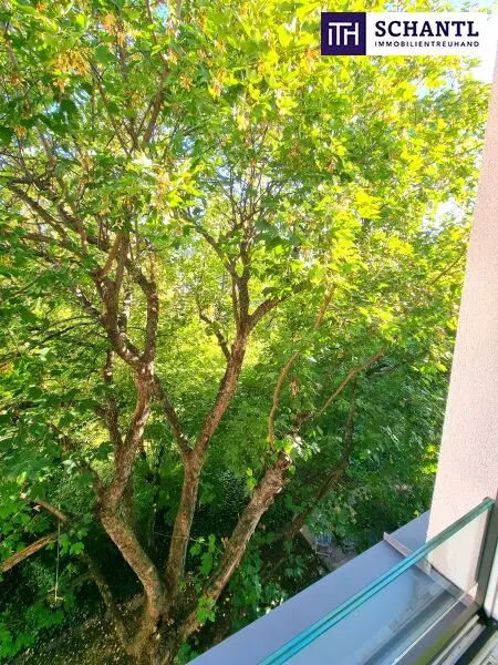Döbling Deluxe! Viel Ruhe, Raum und eine Riesenterrasse mit Blick ins Grüne! Großzügige 4 Zimmer + Absolut beste Infrastruktur + Straßenbahn vor der Türe! Ihr Neubau-Paradies!