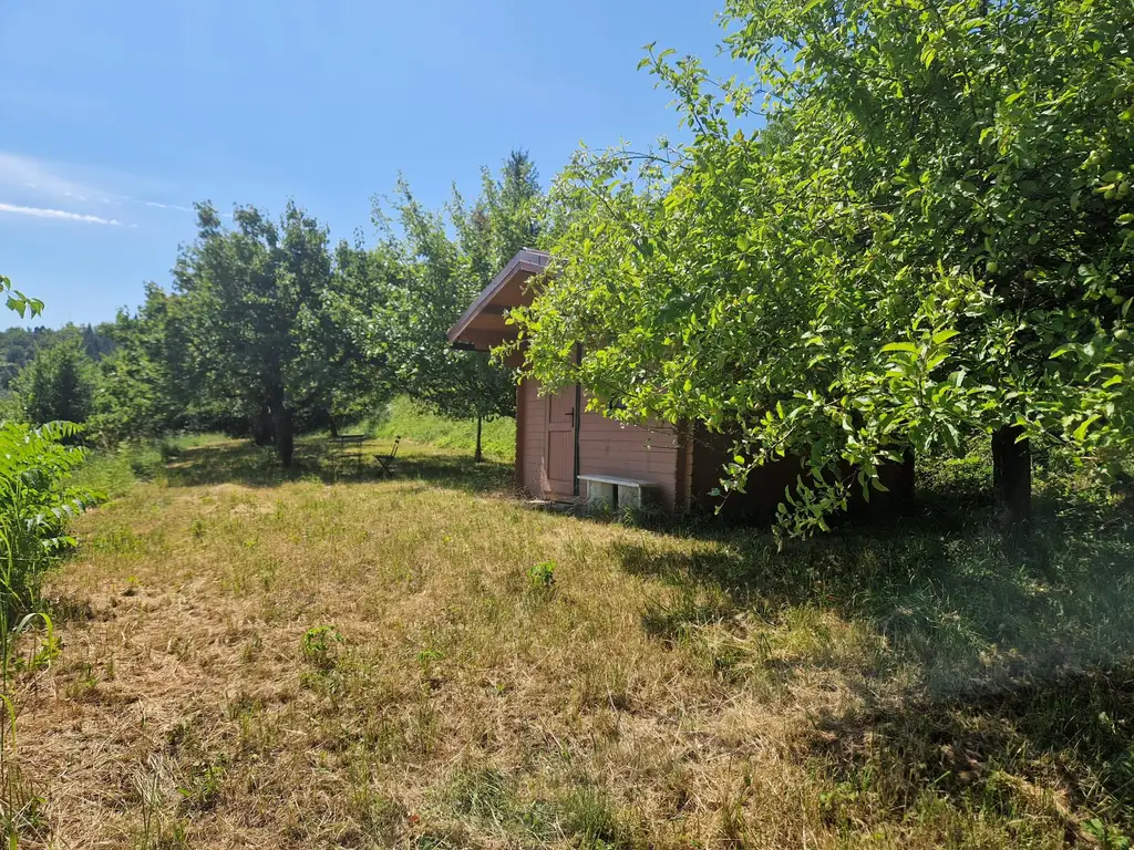 RARITÄT IN SENFTENBERG - GELEGENHEIT AUF EINEN WEINKELLER MIT SCHÖNEM KELLERGEBÄUDE, KELLERRÖHRE SOWIE GARTENHAUS AUF HERRLICHEM TEILWEISE ALS BAULAND GEWIDMETEN GRUNDSTÜCK