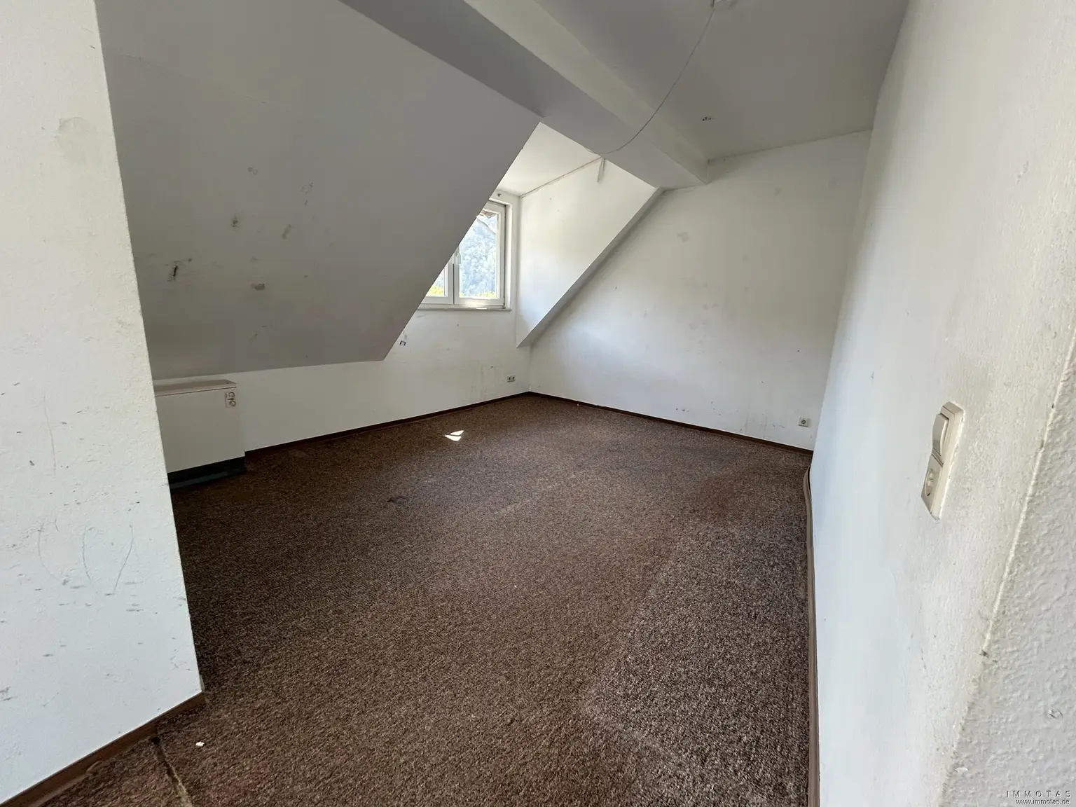 Zimmer DG