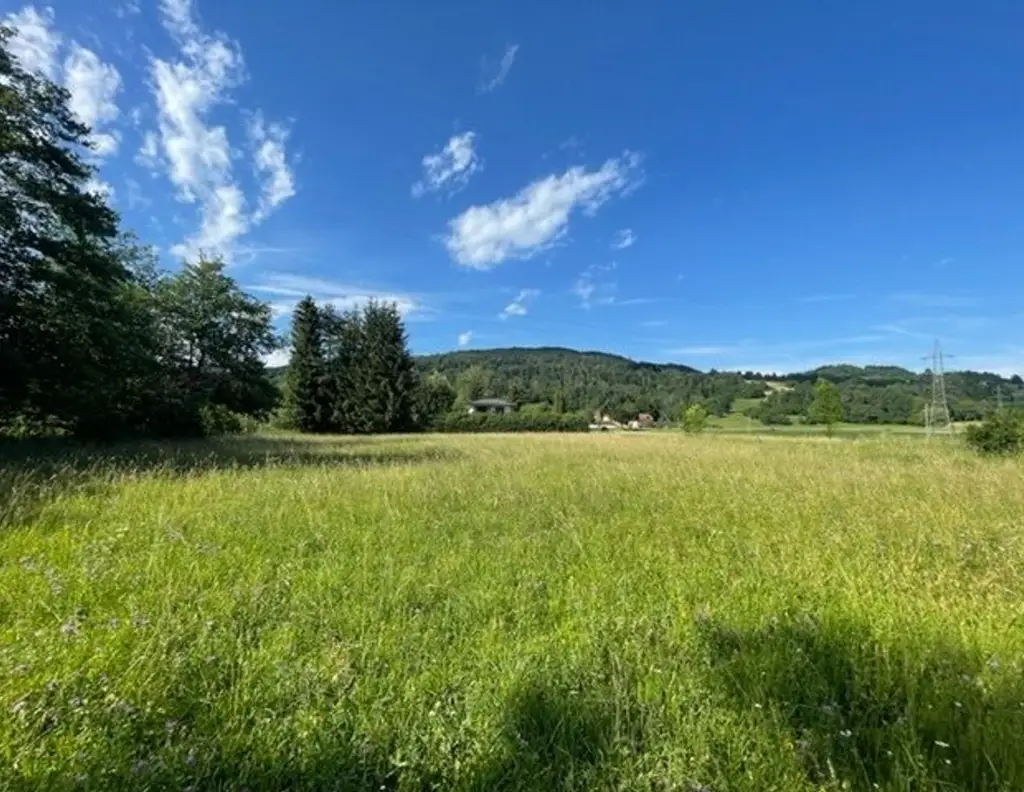 Schöne landwirtschaftliche Flächen mit 3.208m² - Nähe Hafnersee - Kein Baugrund!
