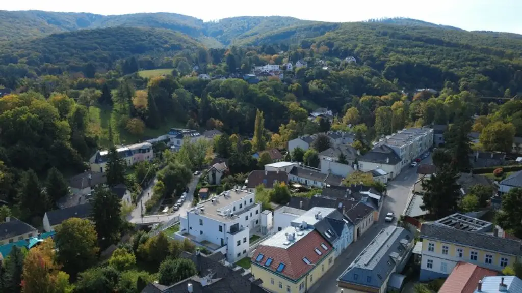 LEBENSQUALITÄT MIT AUSSICHT - EXKLUSIVES TOWNHAUS AUF EIGENGRUND IN WEIDLING – NATURNAHES WOHNEN MIT STIL