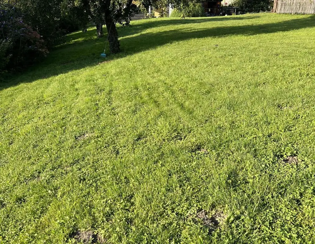 Privatverkauf ! Wunderschönes Baugrundstück in Aigen im Ennstal