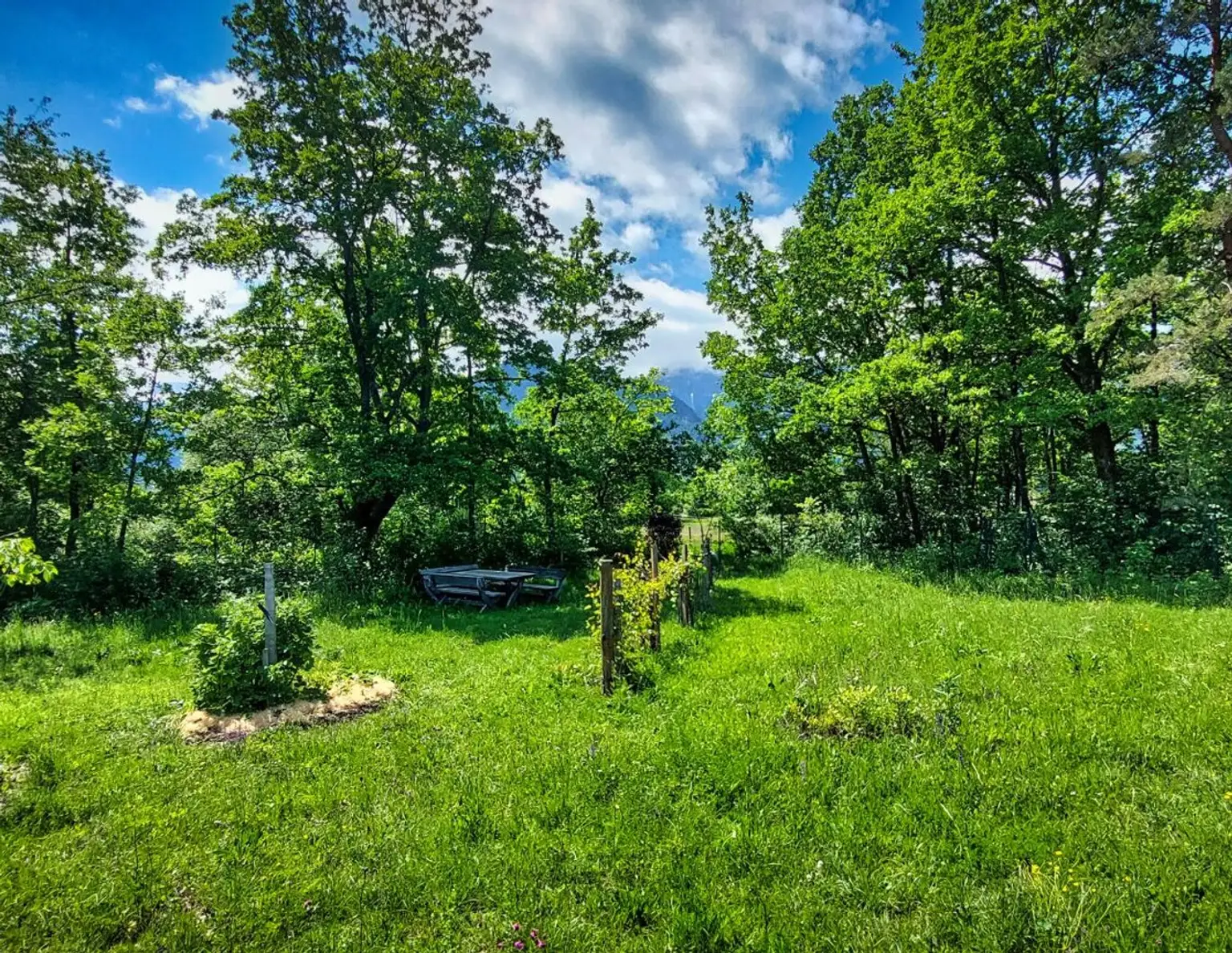 Oase der Ruhe - idyllisches Grundstück mit Bauwidmung