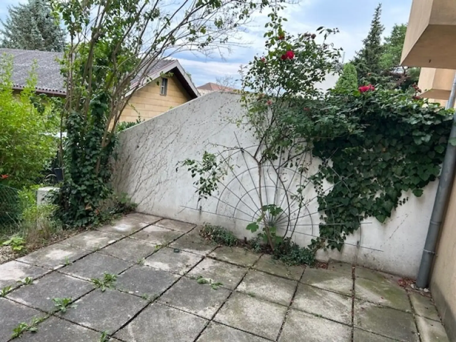 +TOP ANGEBOT € 444.444.- + REIHENHAUS in idyllischer RUHELAGE mit romantisch gepflegter GARTENANLAGE - Eigentum mit Terrasse, VOLLKELLER und Garage!