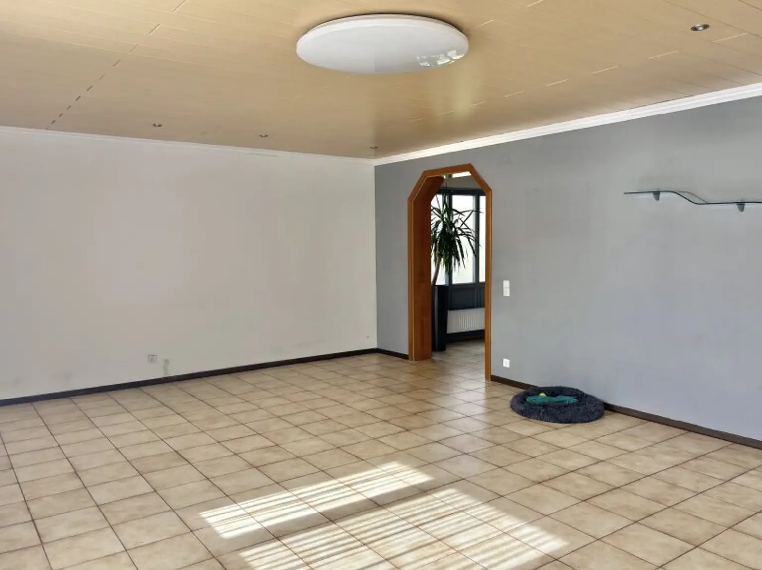 ** FAMILYS BEST **   Reinersdorf !! Bungalow mit ca. 122 m2 Wfl. in ruhiger, idyllischer Ortsrandlage mit ca. 1.200 m2 Eigengrund !!