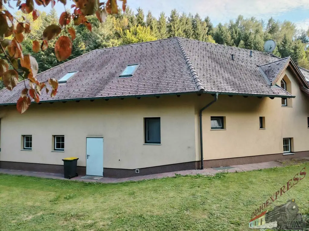 Tolle Villa mit neuer PV-Anlage bietet viel Platz und ruhige, grüne Umgebung – 38 min zur Stadtgrenze Wien!
