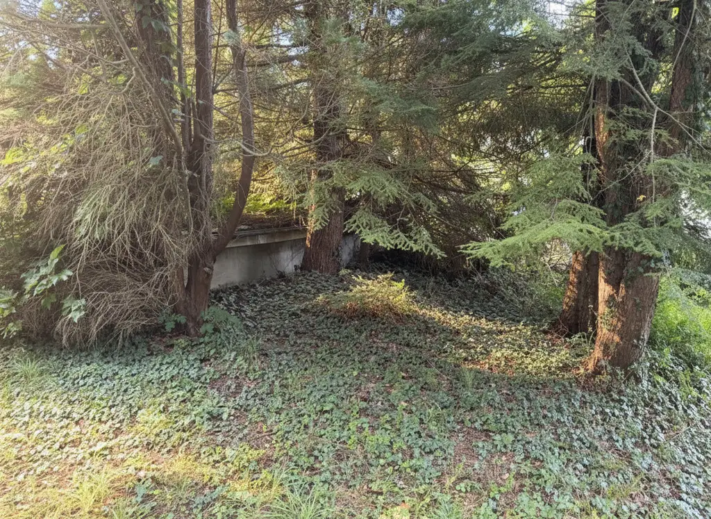 Preisreduktion - Traumhaftes Baugrundstück in idyllischer Lage von Kirchbach, Niederösterreich - Perfekt für Ihr Eigenheim!