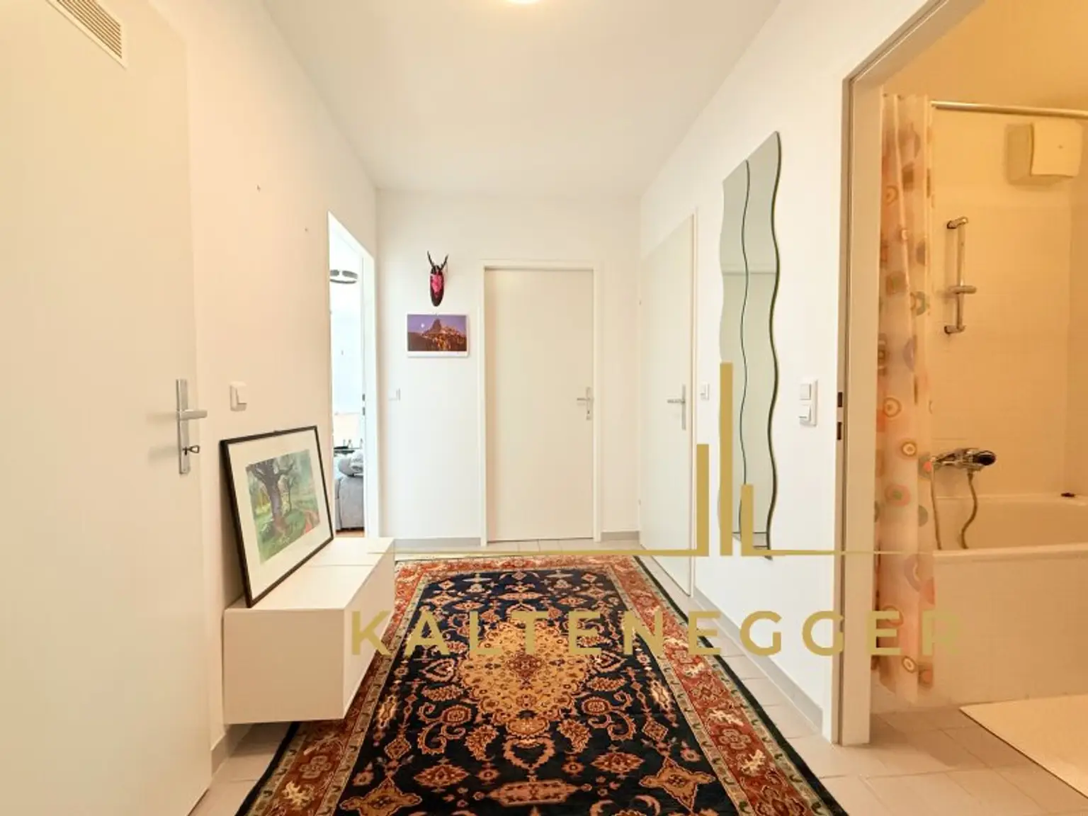 Zentraler Vorrraum mit Zugang zu allen Räumen (links Abstellraum)