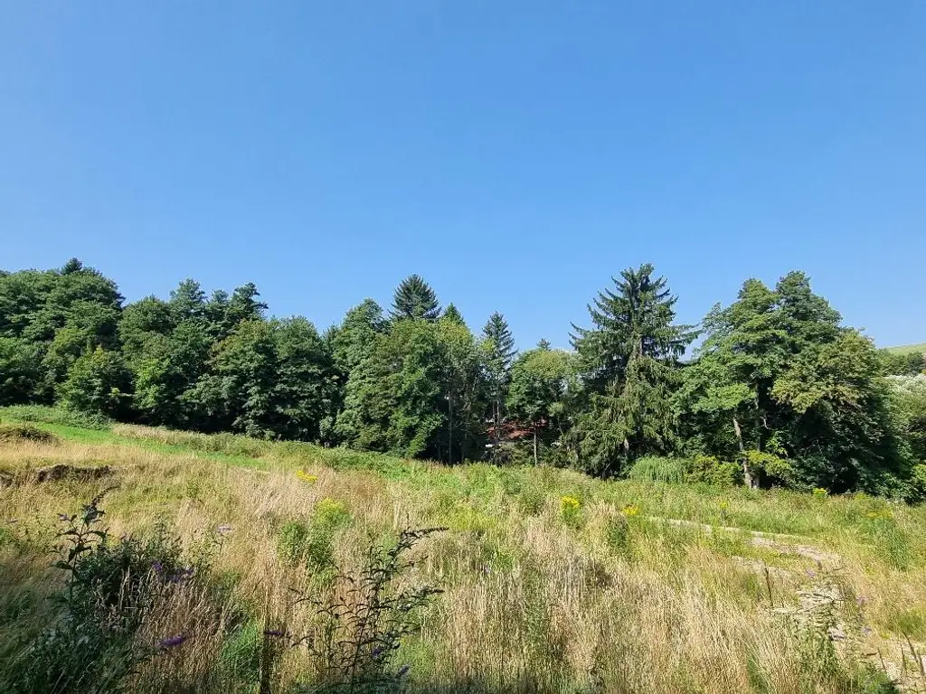 NEUPARZELLIERUNG IN SCHÖNER RUHELAGE