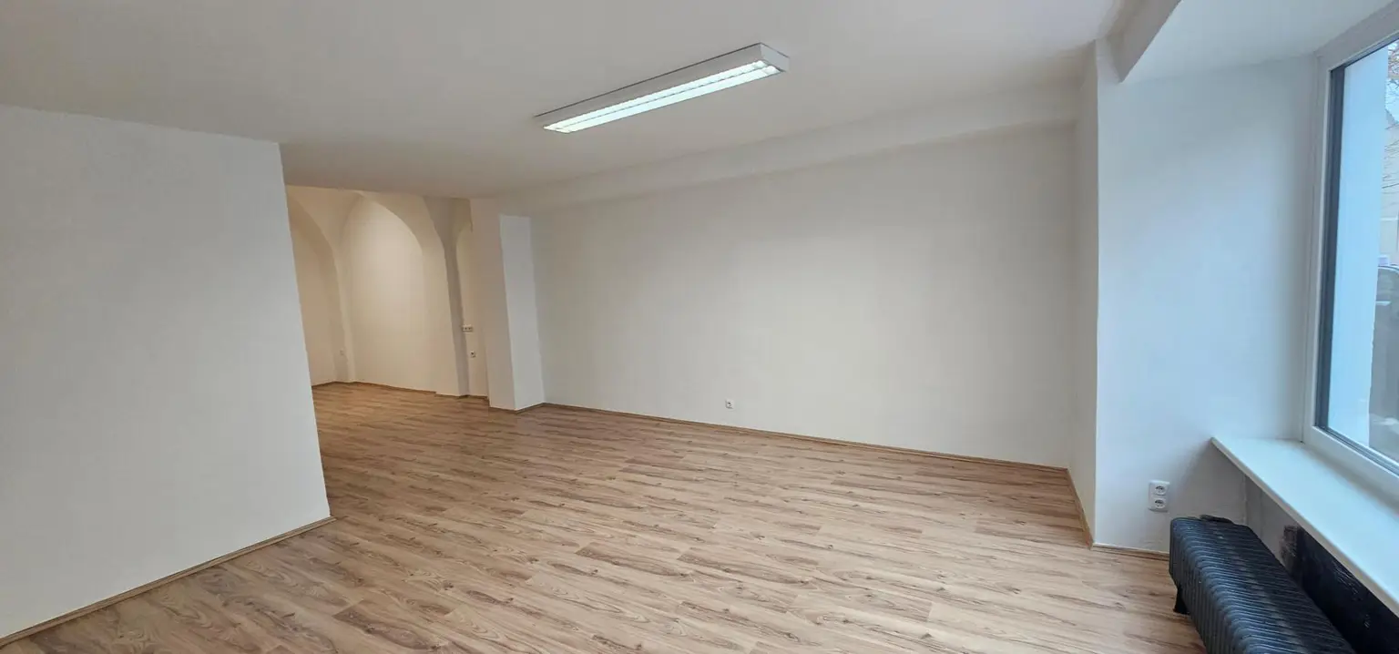 Geschäftslokal 2. Ansicht