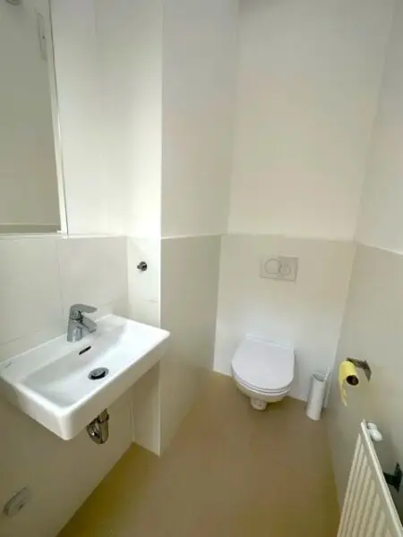 BÖRSE-NÄHE, klimatisiertes 98 m2 Dachgeschoss mit 9 m2 Terrasse, 3 Zimmer, Extraküche, 2 Bäder, Gonzagagasse