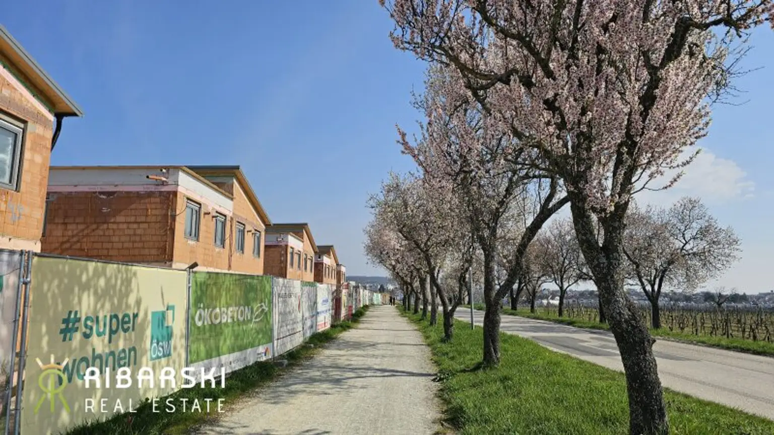 zur Mandelblüte_März 26