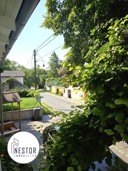 Haus - NESTOR Immobilien
