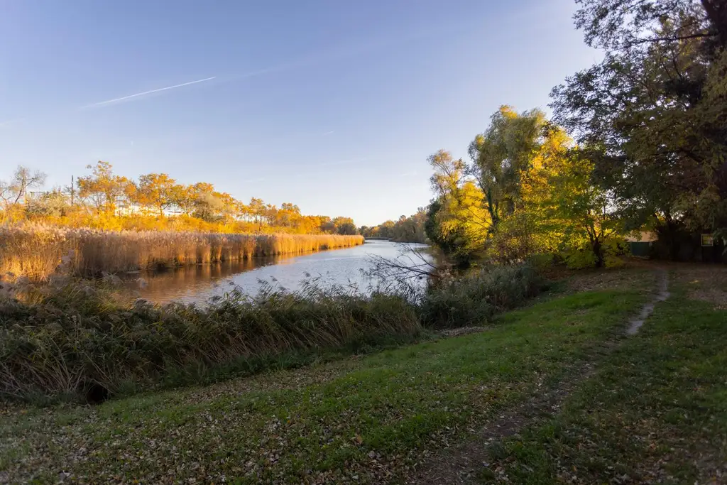 Alte Donau: Kleingartengrundstück mit Altbestand und Entwicklungspotenzial