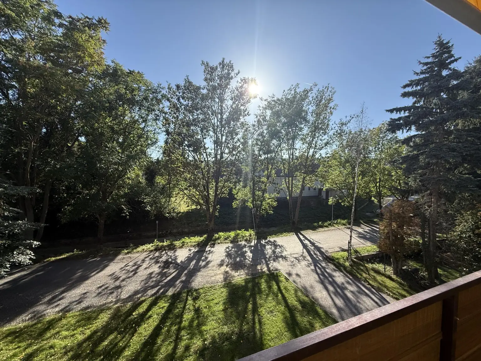 Großzügige 3 Zimmer-Wohnung mit Blick ins Grüne!