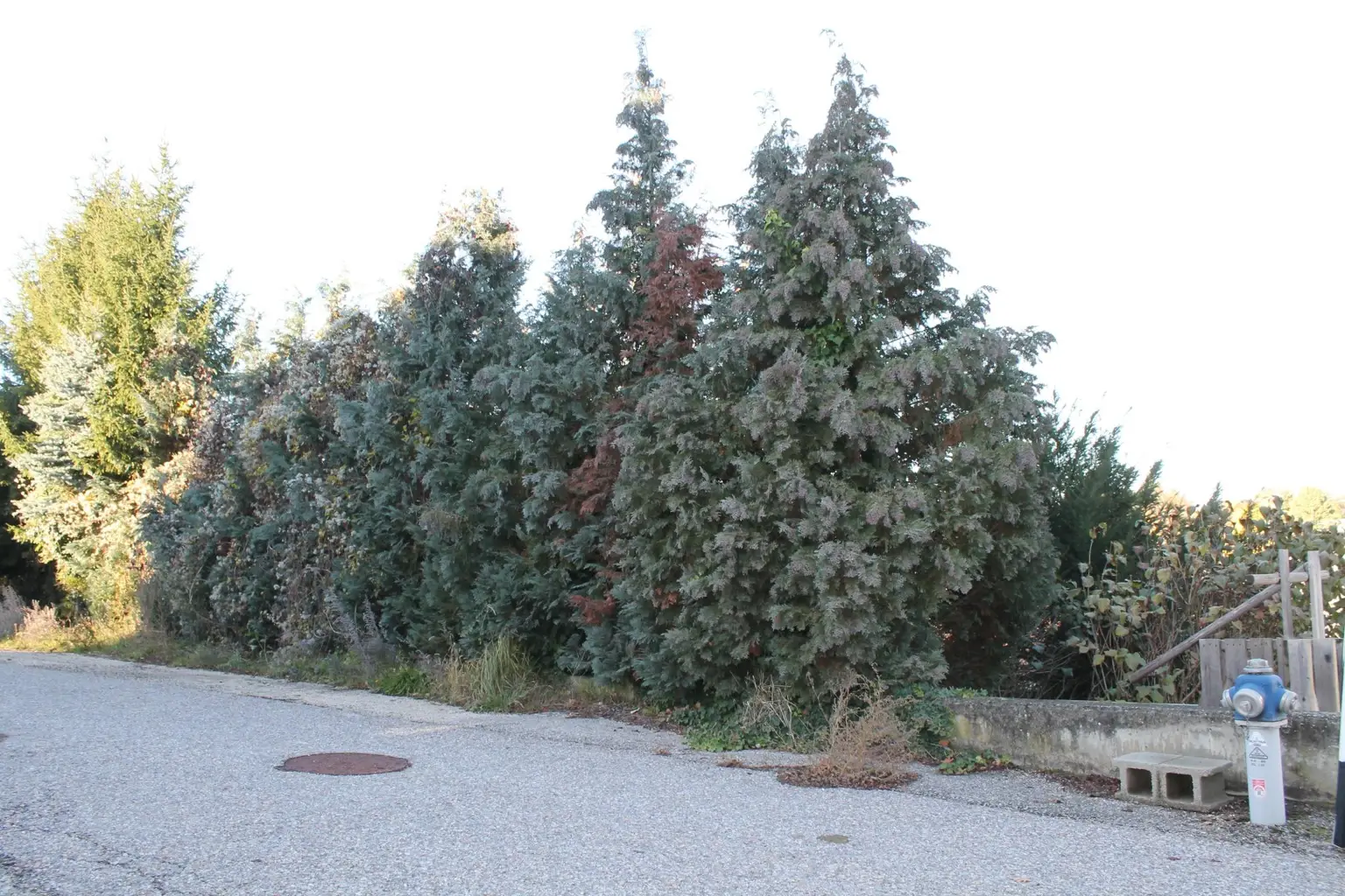 "Baugrund in Sackgasse!"