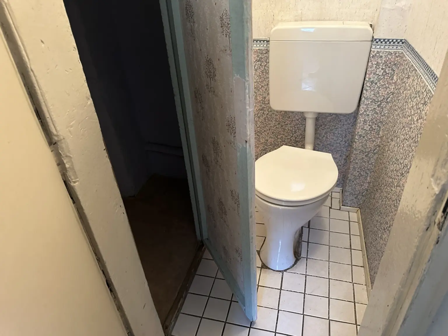 Gäste-WC EG