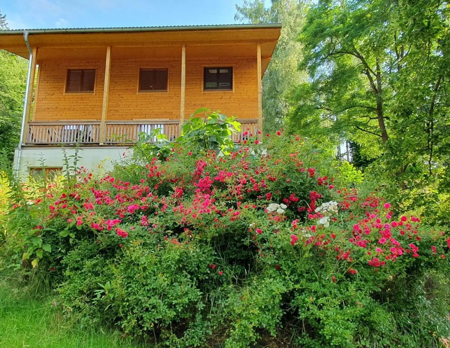 Holztraumhaus im Herzen des Wienerwalds