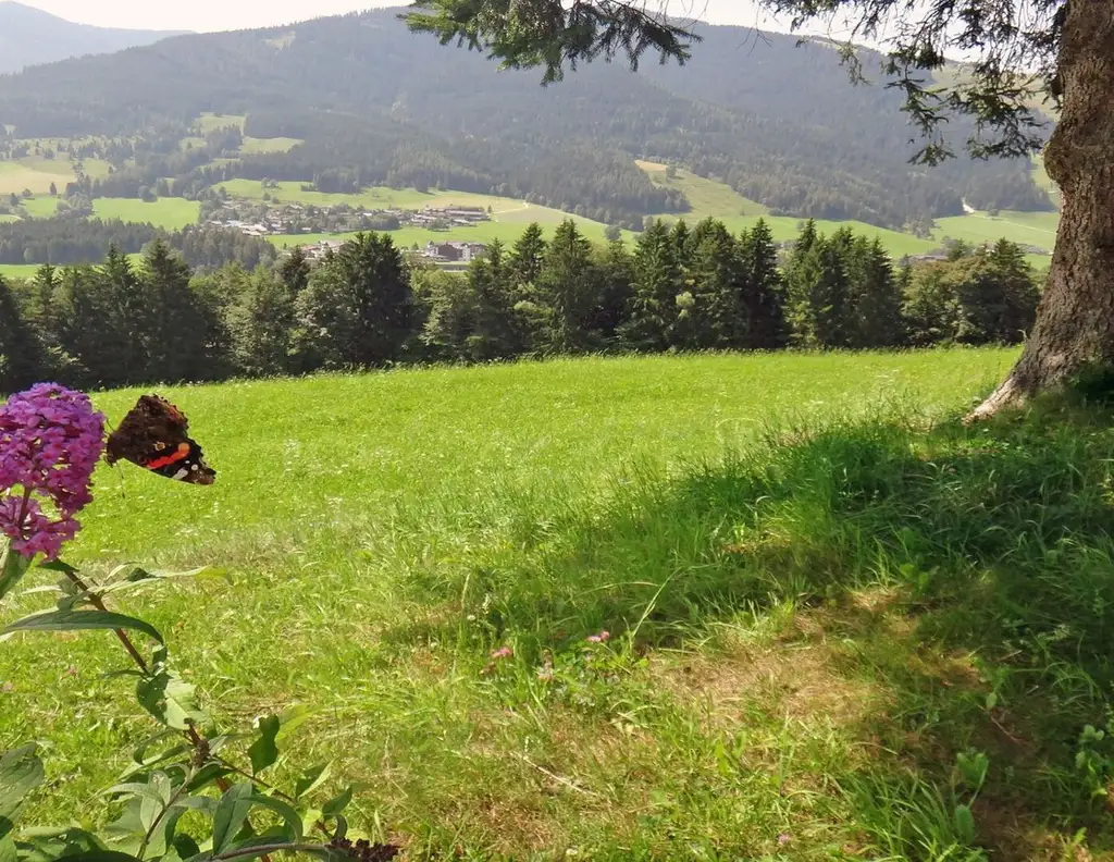 Bergbauernhof im Pinzgau - Zweitwohnsitz im Salzburger Land
