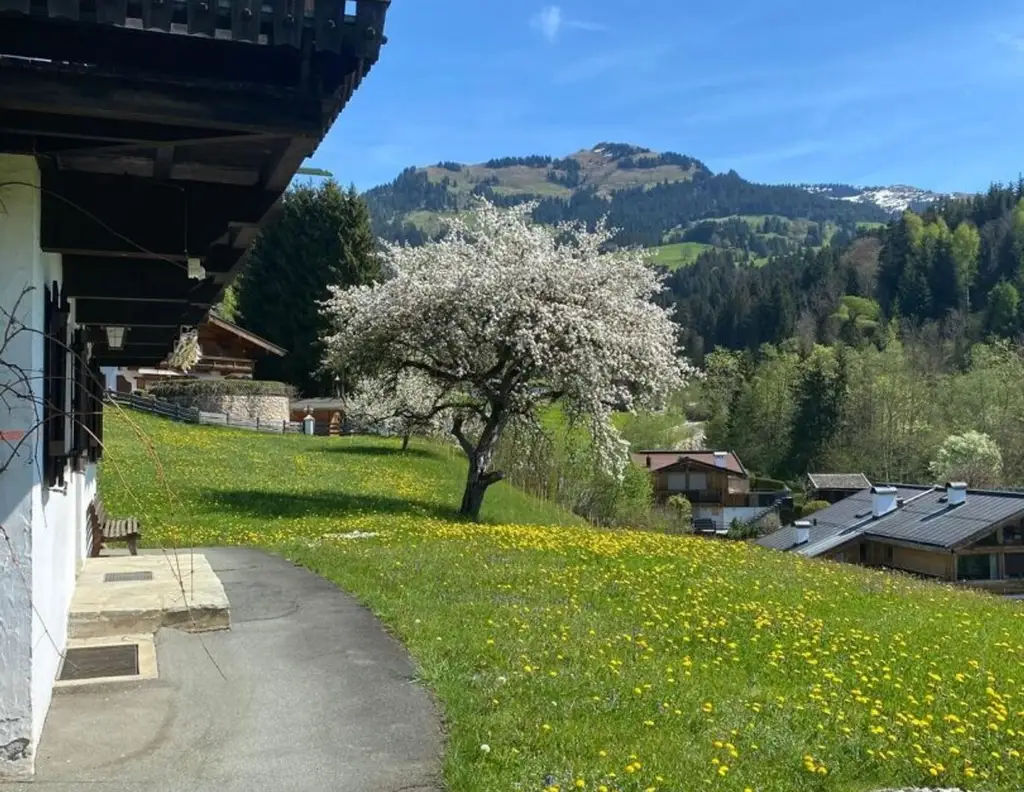 Rarität in Toplage von Kitzbühel - Baugrundstück mit Altbestand und genehmigtem Neubauprojekt in der "Zephirau"