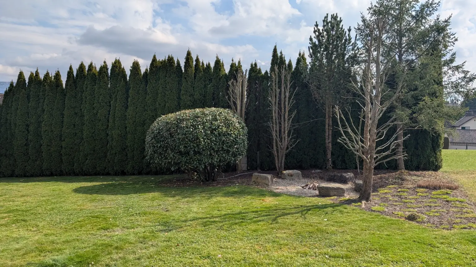 PXL_20260315_1131186