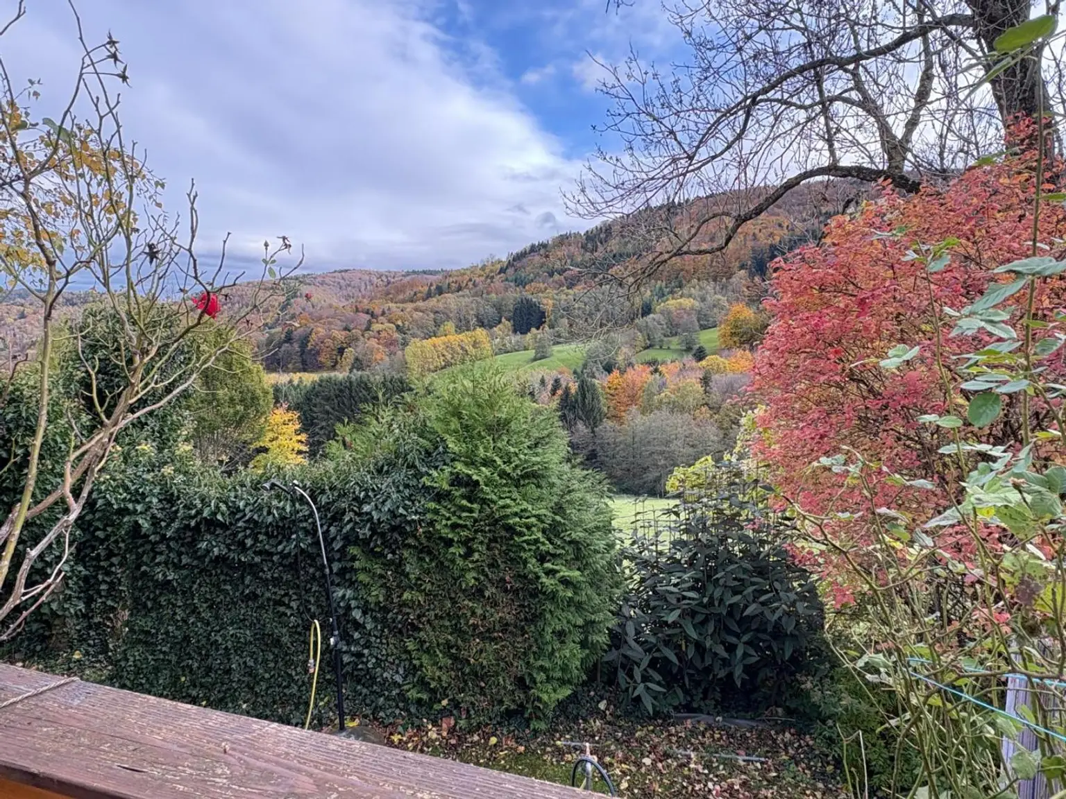 Ausblick von der Terrasse
