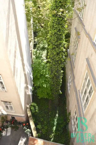 Ausblick