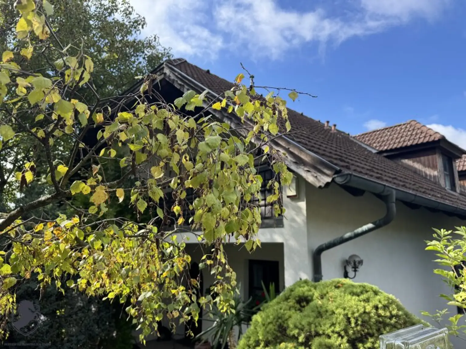 Einfamilienhaus mit großem Keller und traumhaftem Wald-Blick