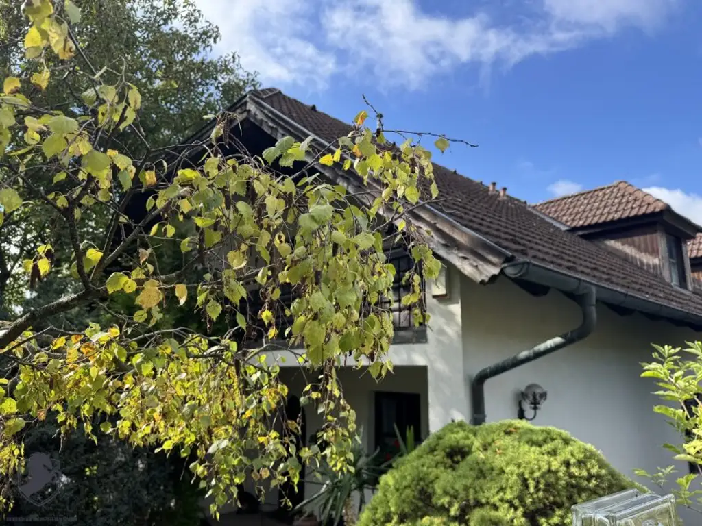Einfamilienhaus mit großem Keller und traumhaftem Wald-Blick