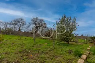 Haus-La-Orotava-xxx-Teneriffa-7