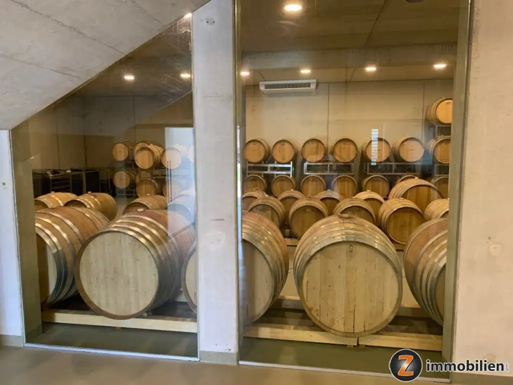 Weingut mit ca. 4 ha Weingärten im Südburgenland!