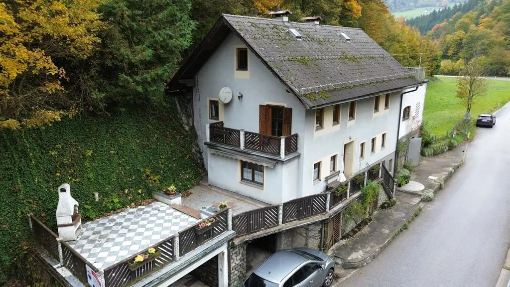 Wohnhaus mit großem Waldgrundstück