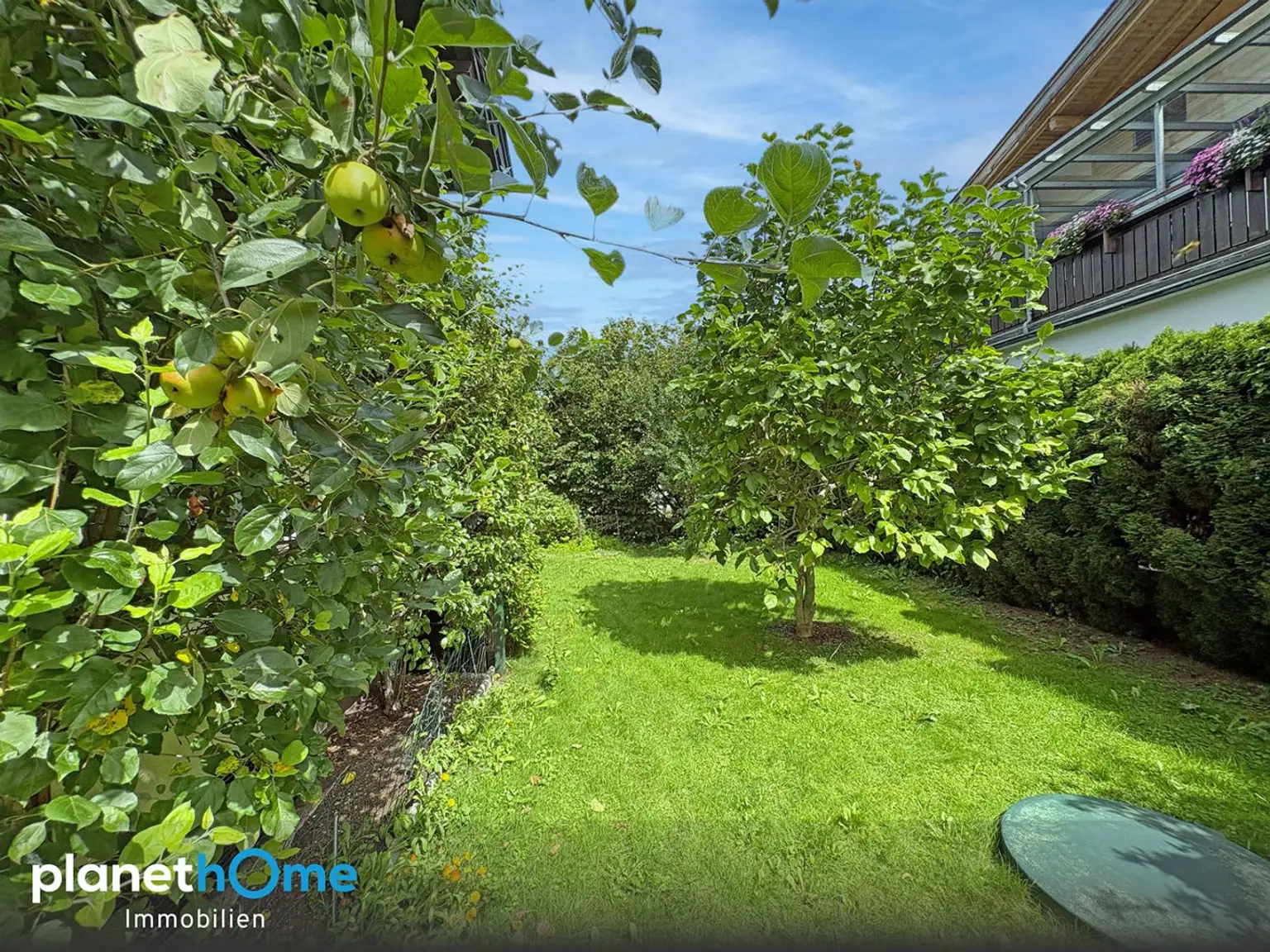 Garten 1