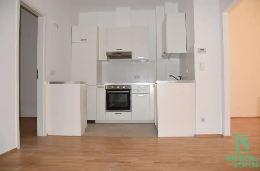 Mitten im 5.! Westterrasse - Top renovierte, große, sonnige Wohnung - Ruhelage