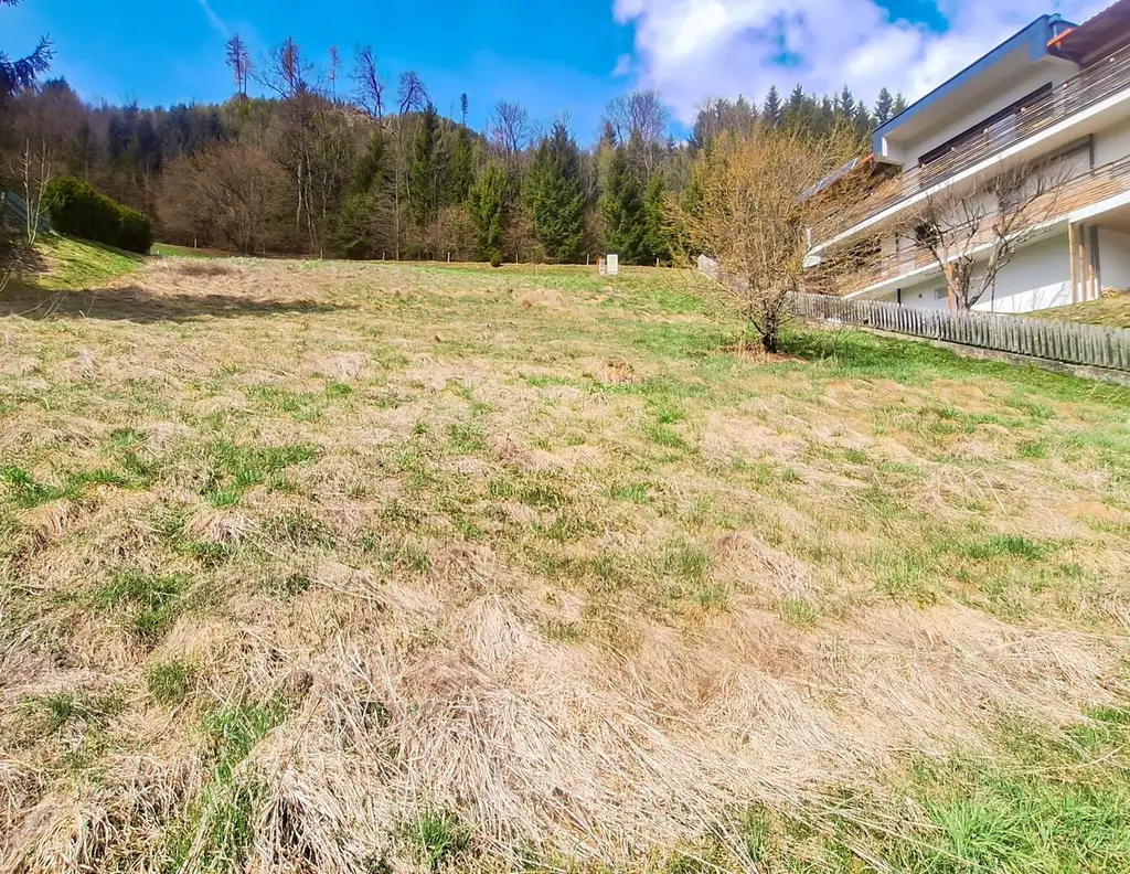 Sonniges Baugrundstück in Hanglage mit Panoramablick über Murau. - Großes Baupotential.