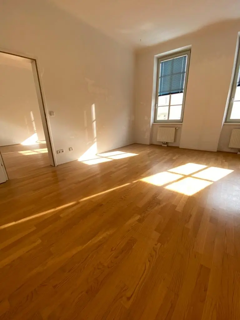 Zimmer I