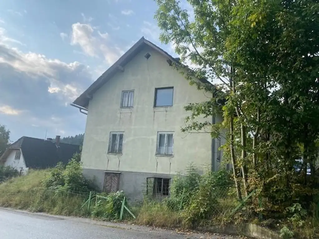 Handwerkerkönig gesucht! Abbruchobjekt, Bauland, Wiese und Wald!