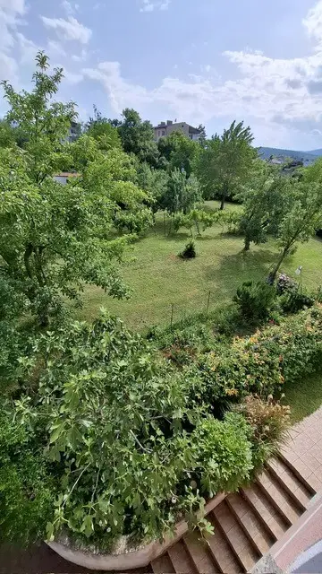 vom Nachbargrundstück fotografiert