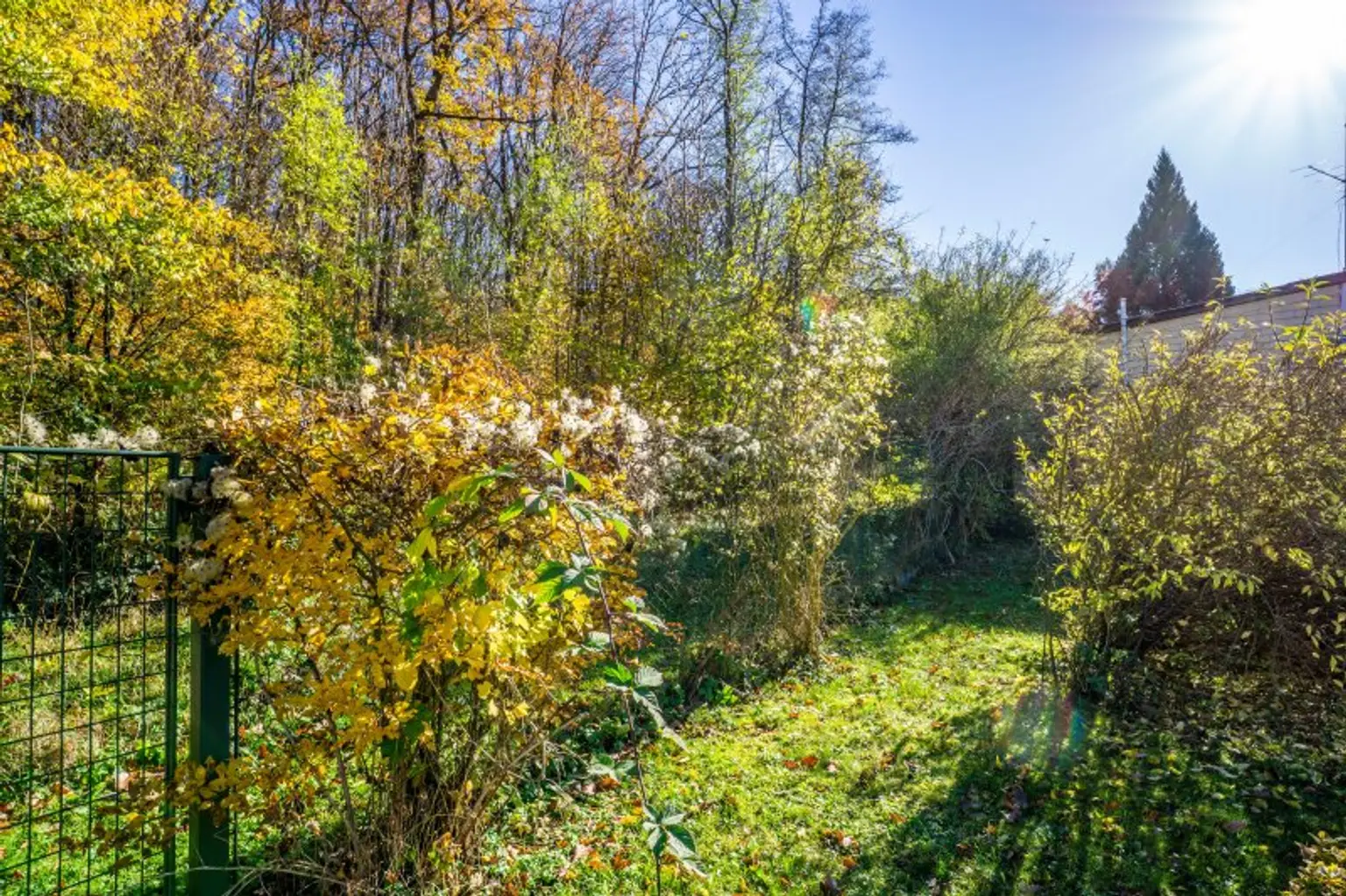 Östliche Grundgrenze mit direktem Waldzugang